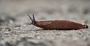 BF_DP3M0121 Kopie.jpg