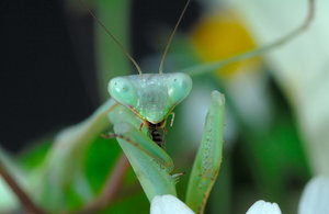 DSC_0005_copy.jpg DSC_0005_copy.jpg