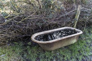 comp__SDI1182.jpg comp__SDI1182.jpg