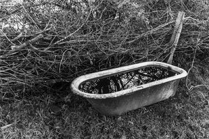 comp__SDI1182-sw1.jpg comp__SDI1182-sw1.jpg