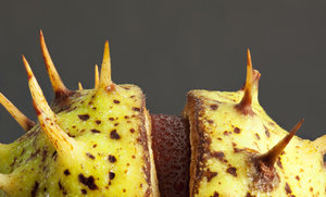 Stack 03 - fertig.jpg