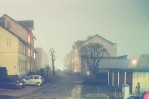 Aphog Image029_30_1 (c) PPf.jpg