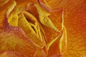 500k_2014-01-19-13.44.46 ZS PMax-nofdr2.jpg