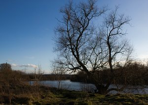 comp_Ruhr 01-2014.jpg