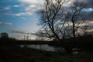 comp_Ruhr 01-2014-3.jpg