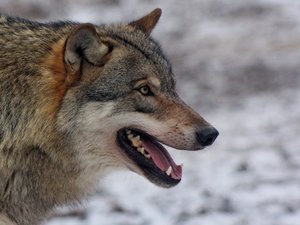 IMG_98442 (Andere).jpg