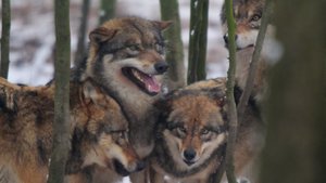 IMG_9890 (Andere).jpg