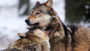 IMG_9802-2 (Andere).jpg