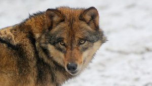 IMG_9796-2 (Andere).jpg