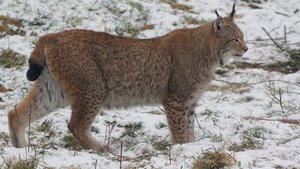 IMG_9997 (Andere).jpg