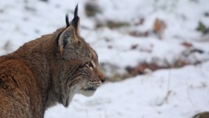 IMG_9521 (Andere).jpg