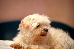 verkl.forum2511 MIn.50mm.jpg