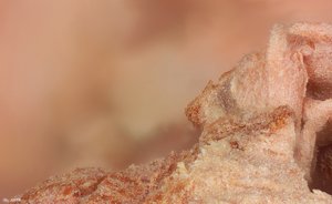 500k_2014-01-25-12.28.51 ZS PMax.jpg