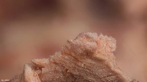 500k_2014-01-26-15.43.43 ZS PMax_bearbeitet-1.jpg