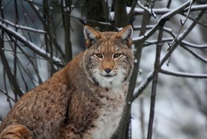 IMG_9987-2 (Andere).jpg