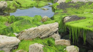 00003_V1.jpg 00003_V1.jpg