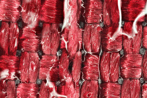 Stack 09 - fertig BF.jpg Stack 09 - fertig BF.jpg