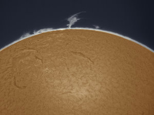 sonne1a-2.jpg