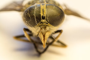 _MG_7642_1600.jpg _MG_7642_1600.jpg