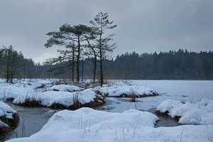 comp_DSC_0019 - Kopie.jpg