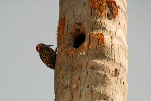 DAN_7264.jpg DAN_7264.jpg