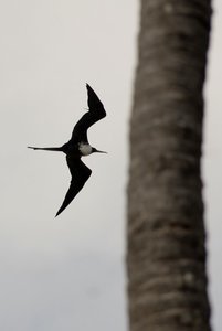 DAN_7410.jpg DAN_7410.jpg