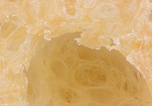 500k_2014-02-01-12.05.30 ZS PMax.jpg