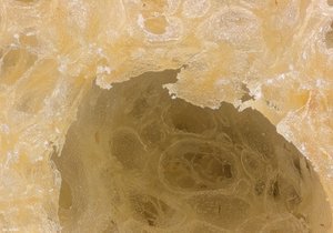 500k_2014-02-01-12.05.30 ZS PMax2.jpg