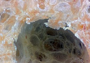 500k_2014-02-01-12.05.30 ZS PMax5.jpg