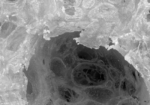 500k_2014-02-01-12.05.30 ZS PMax3.jpg