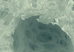 500k_2014-02-01-12.05.30 ZS PMax4.jpg