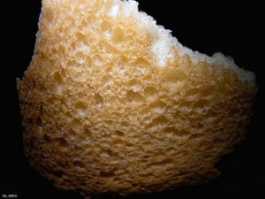 500k_PIMG0003.jpg 500k_PIMG0003.jpg