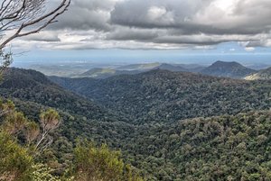 comp_IMG_2805_pseudo SNS.jpg comp_IMG_2805_pseudo SNS.jpg