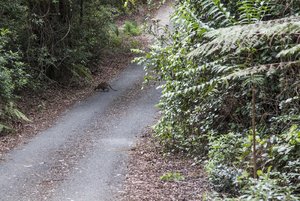 comp_IMG_2834.jpg comp_IMG_2834.jpg