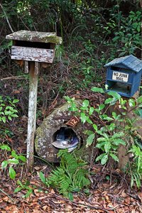 comp_IMG_2843.jpg comp_IMG_2843.jpg