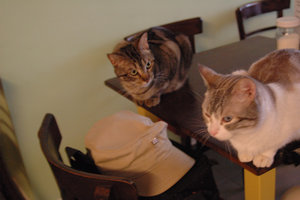 DSC_0148.JPG DSC_0148.JPG