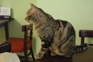 DSC_0144.JPG DSC_0144.JPG