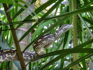 comp_1500IMG_7119_T.jpg comp_1500IMG_7119_T.jpg