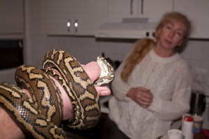 IMG_7970_1500.jpg IMG_7970_1500.jpg