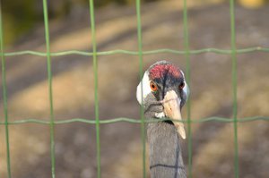 C_DSC6219.jpg C_DSC6219.jpg