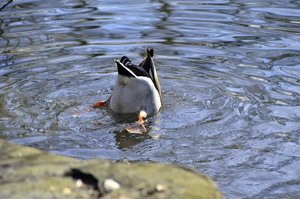 C_DSC6324.jpg C_DSC6324.jpg