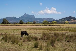 comp_1500_500IMG_8179_bea.jpg comp_1500_500IMG_8179_bea.jpg