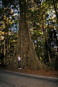 900_500 kbIMG_7619_DXO.jpg 900_500 kbIMG_7619_DXO.jpg