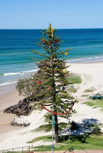 1600_500 kbIMG_1158.jpg 1600_500 kbIMG_1158.jpg