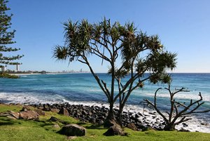 1600_500 kbIMG_6378_.jpg 1600_500 kbIMG_6378_.jpg