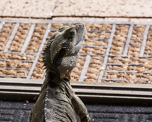 1600_500 kbIMG_8508.jpg