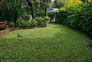 1600_500 kbIMG_0785_DXO-Bearbeitet.jpg