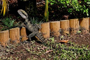 1600_500 kbIMG_0791_DXO-Bearbeitet.jpg