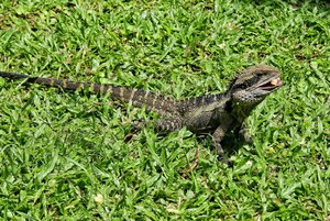 1600_500 kbIMG_0721_DXO-Bearbeitet-Bearbeitet.jpg