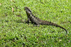 1600_500 kbIMG_0779_DXO-Bearbeitet-Bearbeitet.jpg